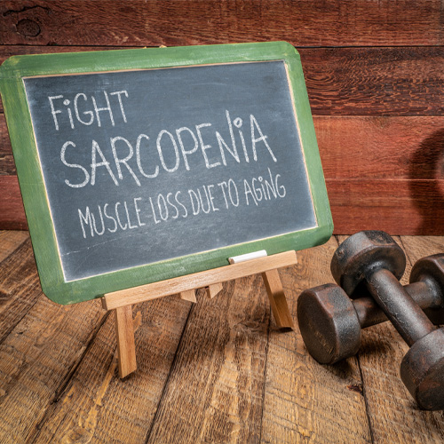 Fight Sarcopenia